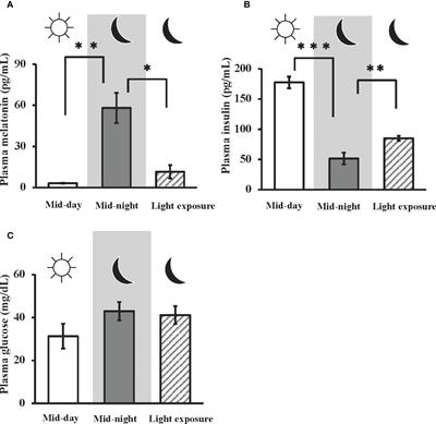 Nocturnal melatonin increases glucose uptake via insulin-independent action in the goldfish brain